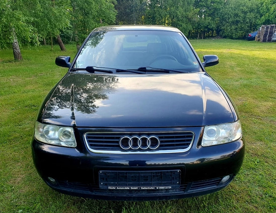 Audi A3 cena 7700 przebieg: 186322, rok produkcji 2002 z Szydłowiec małe 56